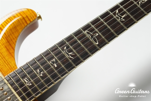 Modern Eagle II 25th Anniversary - Amber【SMO2026】